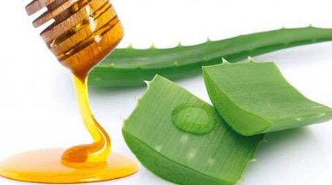 La miel y el aloe ayudarán a afrontar los síntomas de la osteocondrosis.